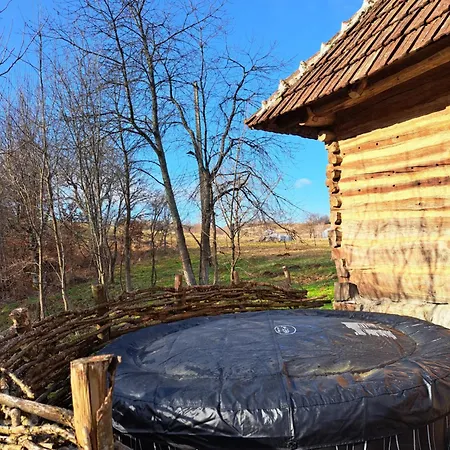 Casa Stramba Case de vacanță *
