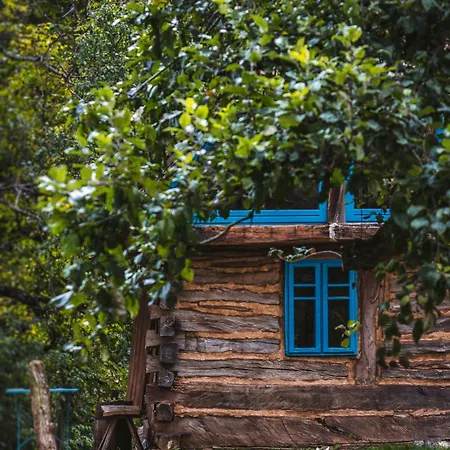 Case de vacanță Casa Stramba